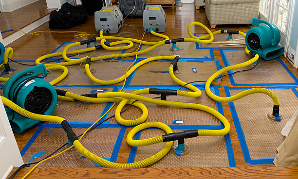 Professional Sewage Cleanup technician working in Arlington, NY
